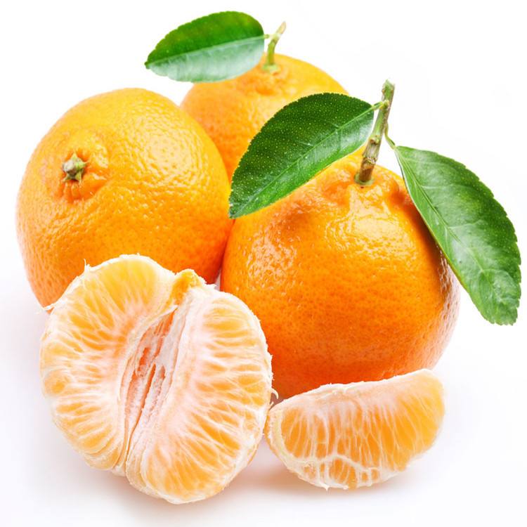 橘子代刷平台(全网最稳代刷网)